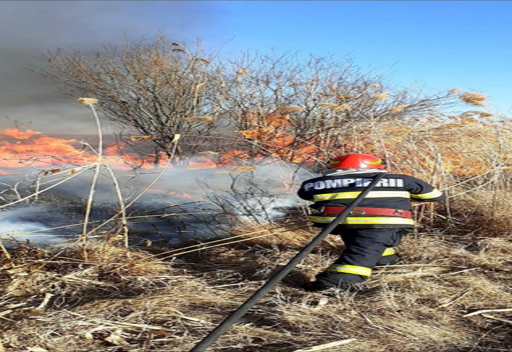 Aproximativ 50 de hectare de vegetaţie uscată şi stuf, mistuite de flăcări, la Roata de Jos