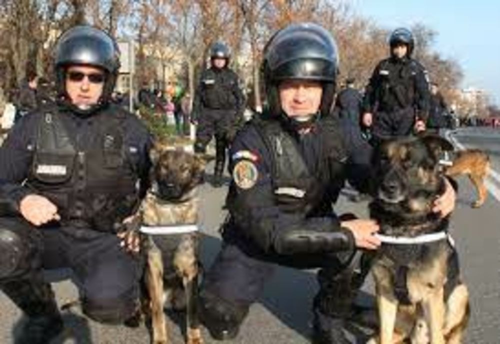 172 de ani de la înființarea Jandarmeriei. Ce manifestări vor avea loc la Giurgiu