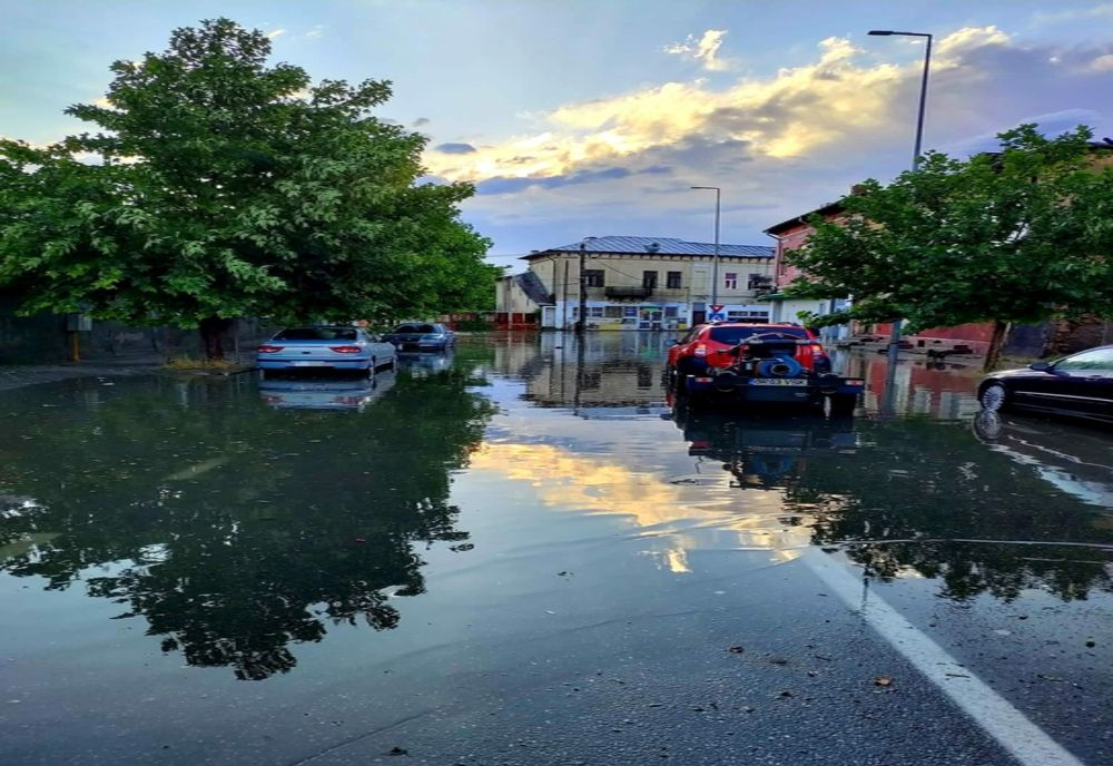 Giurgiu. Copaci rupți şi străzi inundate în urma ploii şi vântului puternic de aseară