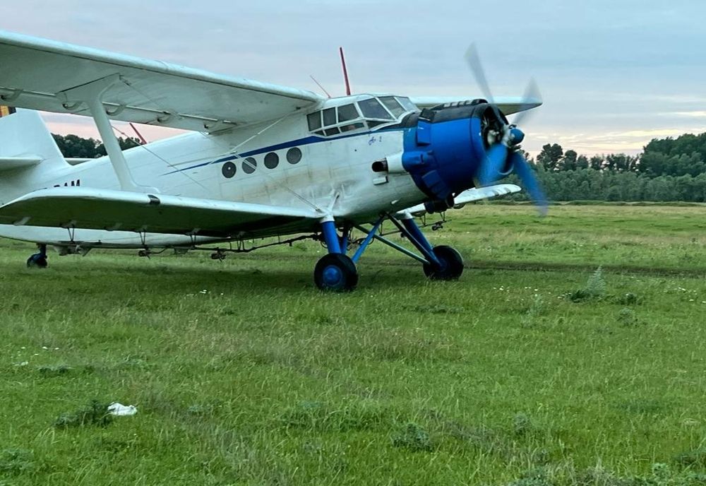 Dezinsecţie la Giurgiu pentru combaterea ţânţarilor și căpușelor 