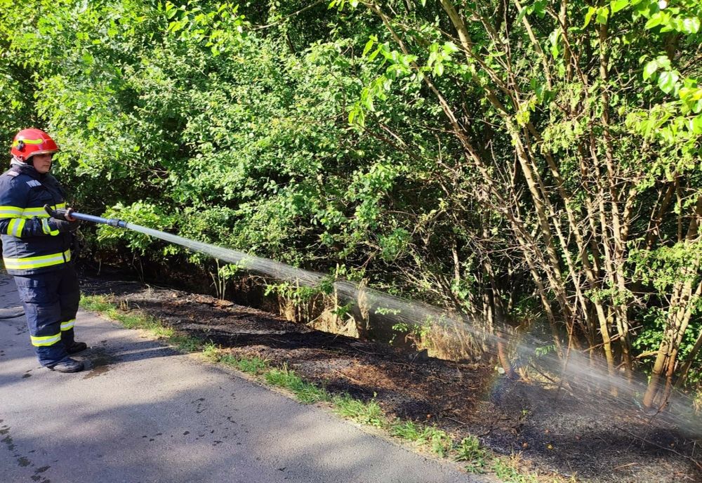 Giurgiu. Incendiu pe marginea DN5B, la Bălănoaia