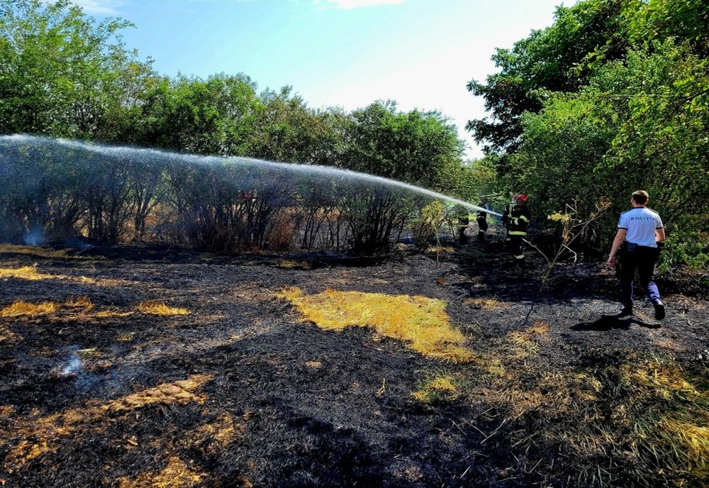 O mirişte şi un lan de grâu au fost cuprinse de flăcări, la Vieru  