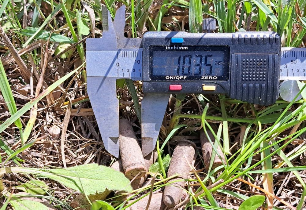 Gloanţe găsite într-o pădure din judeţul Giurgiu. Cine le-a descoperit