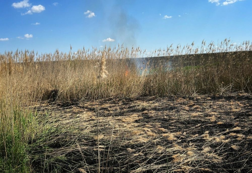 Giurgiu. Pompierii au intervenit pentru stingerea a două incendii de vegetaţie uscată