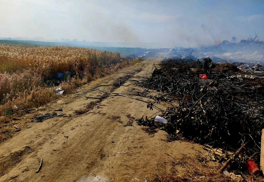 Giurgiu. Hectare întregi de orz şi vegetaţie uscată, distruse de incendii