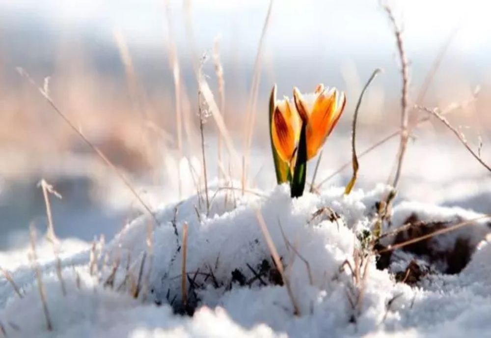 Prognoza meteo 2 februarie. Ploi și temperaturi de primăvară