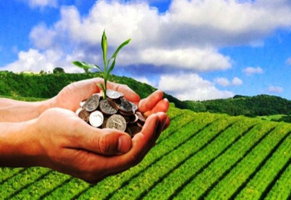 MINISTRUL AGRICULTURII: S-A DECIS ALOCAREA A 578 DE MILIOANE DE LEI SUPLIMENTARE PENTRU INVESTIȚIILE ÎN AGRICULTURĂ