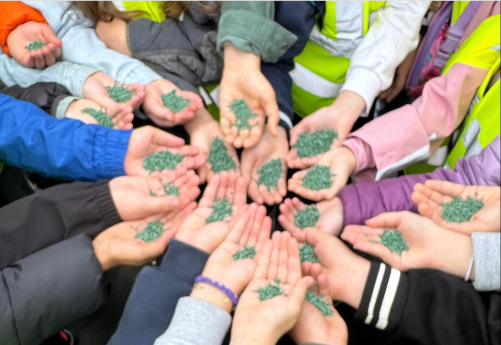 STAȚIA DE SORTARE - UNDE CURIOZITATEA COPIILOR PRINDE CONTUR