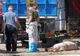 Alertă!!! Pesta porcină s-ar putea extinde. Noi județe cu risc sporit de contaminare