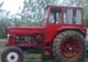 Giurgiuvean băut și fără permis, a omorât cu tractorul trei oi