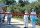 Anchetă penală în cazul epidemiei de pestă porcină