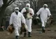 Alertă ANSVSA! Focare de gripă aviară descoperite în Bulgaria