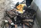 Bătrân imobilizat la pat, salvat dintr-un incendiu, la Frătești