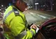 Autoritățile în alertă, din cauza pestei porcine. Târgurile, la control