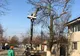 Lucrări de toaletare a arborilor și curățare a spațiilor verzi în Giurgiu