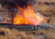 Giurgiuvean ars de viu într-un incendiu de vegetație uscată