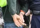 Giurgiuvean recidivist, arestat pentru săvârșirea mai multor furturi