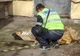 O femeie din Giurgiu s-a aruncat de la etajul IV al blocului în care locuia