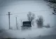 Avertizare meteo! Cod portocaliu de ninsori în județul Giurgiu