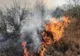 Peste 50 ha de vegetație, mistuite de flăcări 
