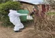 Voluntarii Primăriei Giurgiu, în sprijinul persoanelor aflate în dificultate  
