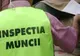 Firmă din Giurgiu, sancţionată cu 100.000 lei după ce a fost depistată cu cinci persoane care lucrau "la negru"