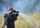 Hectare întregi de miriște, cuprinse de flăcări, în județul Giurgiu. Patru autospeciale de stingere au intervenit