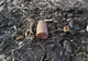 Proiectil exploziv de 100 mm, descoperit la Hodivoaia. Jandarmii au asigurat zona