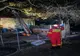 Incendiu violent în Vedea. O casă a luat foc de la coșul de fum al centralei termice
