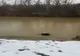 Bărbat găsit mort pe fundul râului Argeș, după 11 zile de căutări