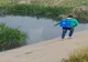 Dezinsecție și pe luciul de apă, la Giurgiu. Unde au loc acțiunile de combatere a țânțarilor