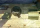 Giurgiu. Încărcătoare de infanterie, descoperite pe un câmp, la Crucea de Piatră