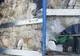 15 tone deșeuri transportate ilegal din Bulgaria, oprite la P.T.F. Giurgiu 
