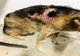 Căţel grav rănit, salvat de Protecţia Animalelor Giurgiu