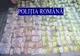 Percheziții în Giurgiu și Teleorman la profanatori de morminte - VIDEO