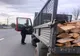 Giurgiu. Aproape 600 metri cubi de lemn, confiscaţi în urma unei razii a poliţiştilor şi Gărzii Forestiere