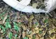 Peste 22 de tone de deșeuri din plastic, oprite la Vama Giurgiu