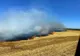 Giurgiu. Patru hectare de grâu au fost cuprinse de flăcări, la Vieru