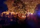 Incendiu violent în cimitirul din Vărăşti