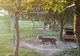 Bărbat cercetat pentru intervenţii chirurgicale ilegale asupra unui animal