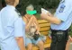 Giurgiu. Poliţia Locală acţionează împotriva celor care depozitează necontrolat deşeuri