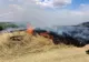 Giurgiu. Patru hectare de mirişte au ars la Daia, din cauza focului deschis
