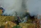 Giurgiu. Pompierii au intervenit la patru incendii de vegetaţie uscată