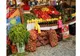 Zeci de producători locali vin la Ziua Agriculturii, în centrul oraşului Giurgiu
