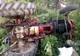 Un bărbat de 69 de ani din Giurgiu s-a urcat beat şi fără permis la volanul unui tractor şi s-a răsturnat cu el pe o stradă din localitate