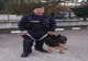 Geantă în care se găseau 1000 lei, un laptop și documente personale, găsită de un jandarm aflat în timpul liber, returnată proprietarului