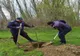 Jandarmii au plantat sute de copaci în Herăşti