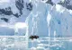 Incendiile din Arctica, deja la un nivel ridicat în iunie, avertizează Copernicus