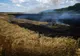 Incendiu într-un lan de grâu din Vidra! Au intervenit pompierii de la ISU Colibaşi