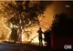 BILANȚUL INCENDIILOR DIN LOS ANGELES CREȘTE LA 24 DE DECESE